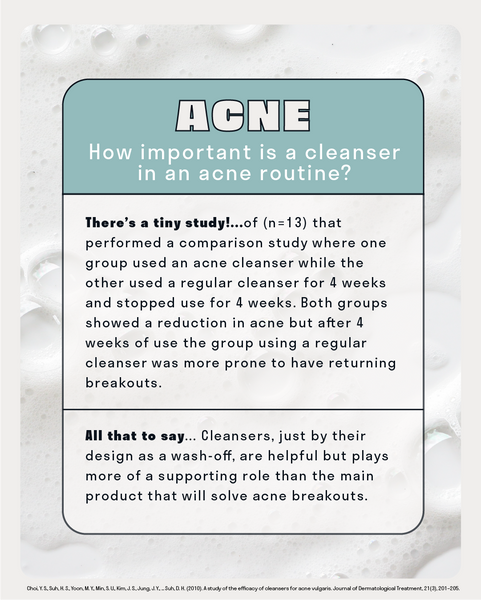 Acne Cleanser Snapshot