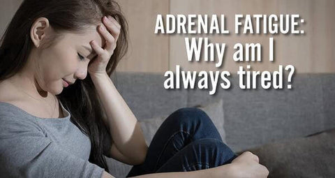 adrenal fatigue products