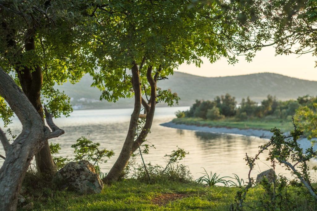 Kroatija Adrijos jura