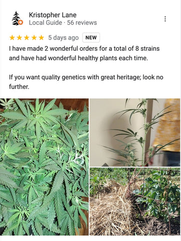 AGSeedCo.com Google Review