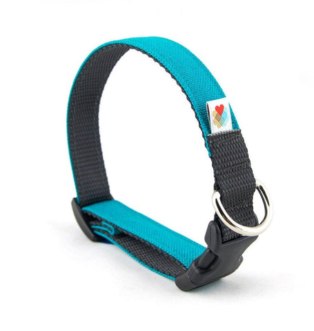 wildebeest funston dog collar turquoise