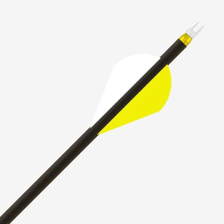  Gold Tip EA Arrow Tube Yellow : Sports & Outdoors