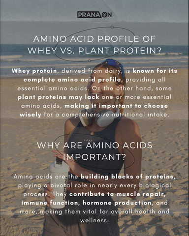 whey vs. plant protein, why are amino acids important