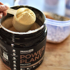 Pranaon power plant protein powder