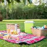 picknick met kinderen tijdens zomervakantie