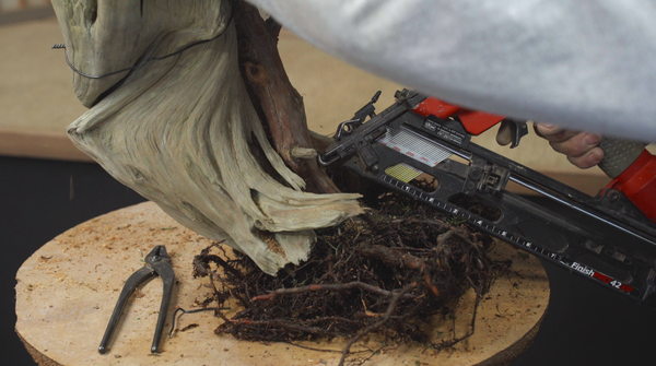 Use a nail gun to attach the live bonsai to the deadwood