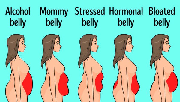 Types of belly fat