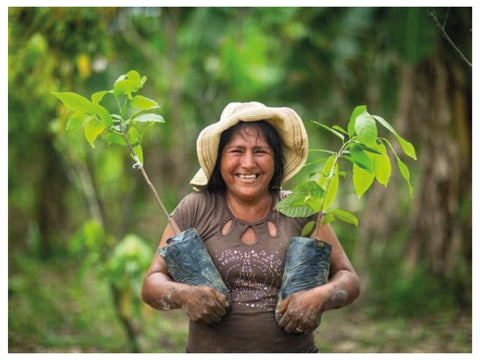 People & Planet in Brazil