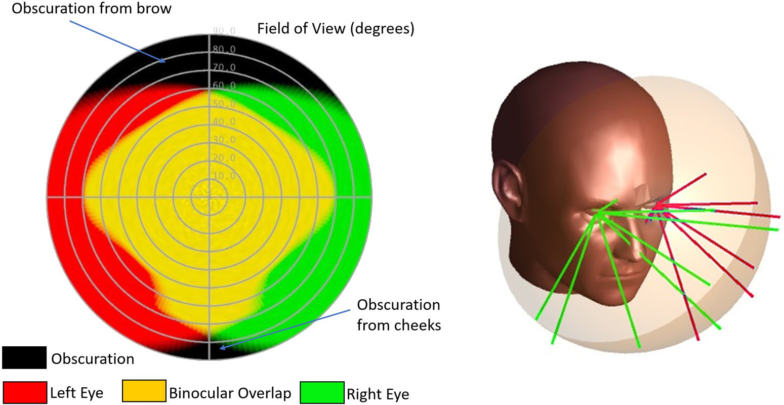 role of visual representation in human sciences