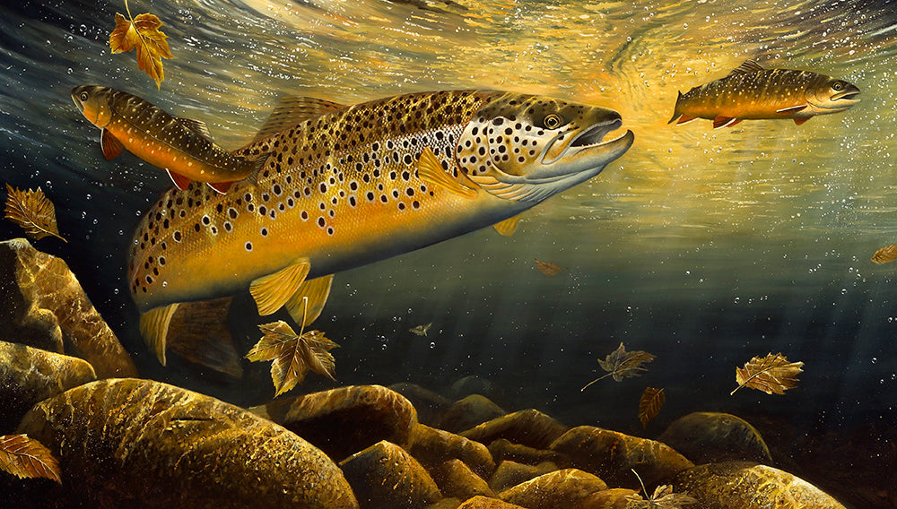 Ferox Trout and Char – David Miller Fish & Wildlife Art