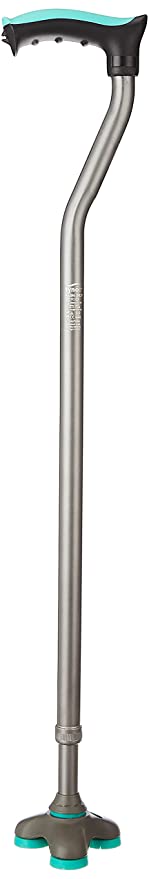 Buy Tynor Silver L Type Walking Stick, L08UDZ, Size: Universal Online At  Price ₹569