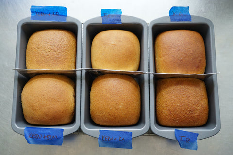 Kernza bread loaves with different inclusions of commercial flours