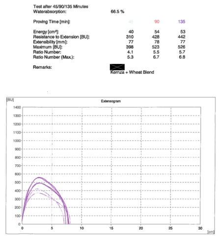 Kernza and wheat extensogram