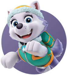 PAW Ryder – PAW Patrol & Friends | Official