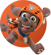 Sportman Postcode condensor PAW Patrol's Zuma – PAW Patrol & Friends | Official Site