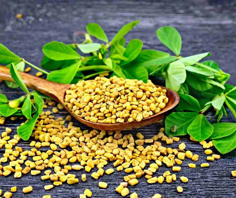 fenugreek