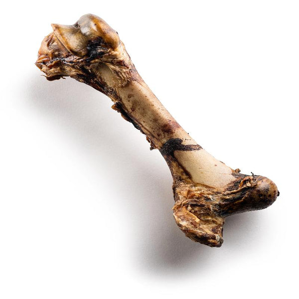 are mammoth bones safe for dogs