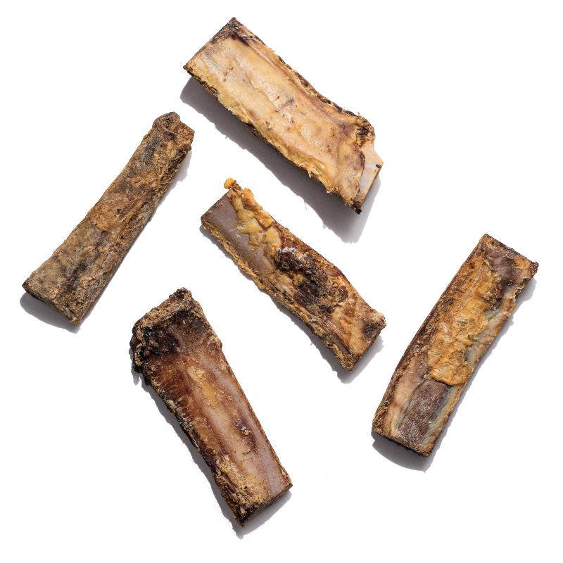 are rib bones good for dogs