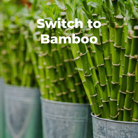 Switch to bamboo