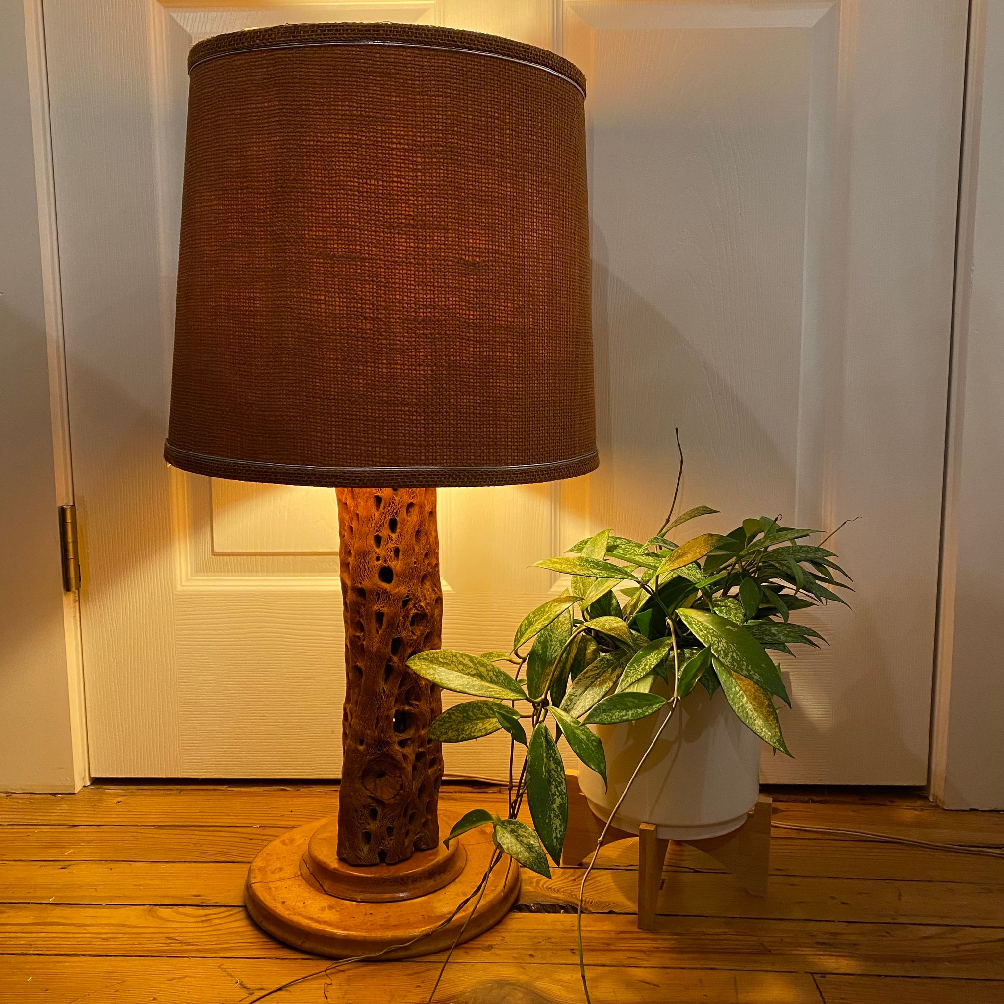 Begrip Gemaakt om te onthouden Daarom Vintage Cholla Cactus Lamp – REmix Design