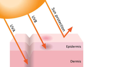 UVA and UVB rays, sun protection, sunscreen