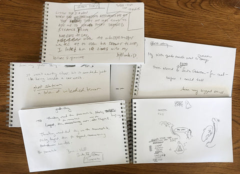 Synapsis storytelling notebooks