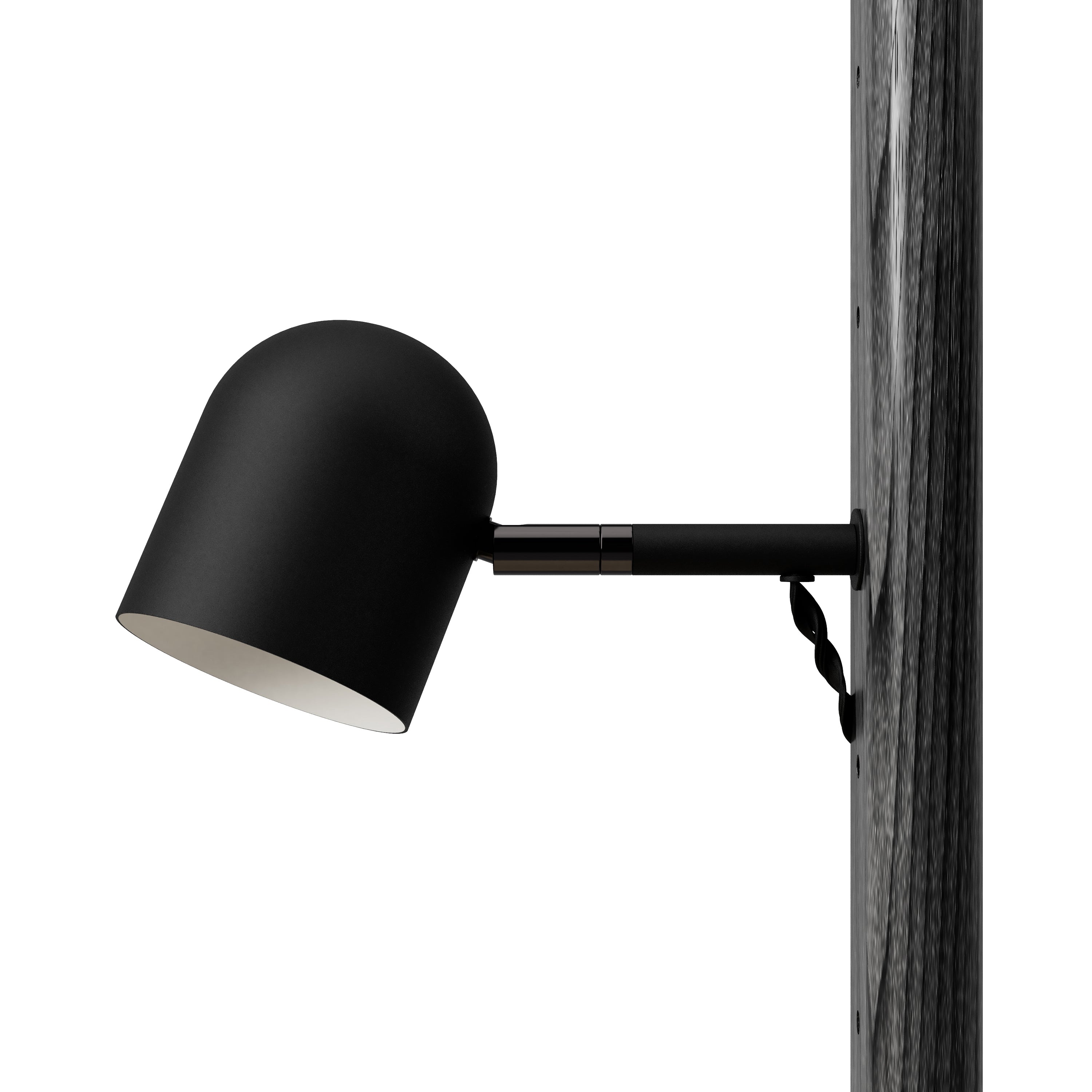 Shelving Unit - Branch-2