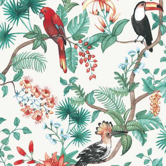 Tempaper & Co Birds of Paradise Wallpaper Sample Swatch - 2Modern