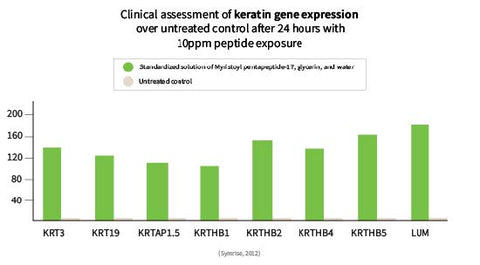 Clinical assessment of keratin gene expression over untreated control after 24 hours with 20ppm exposure