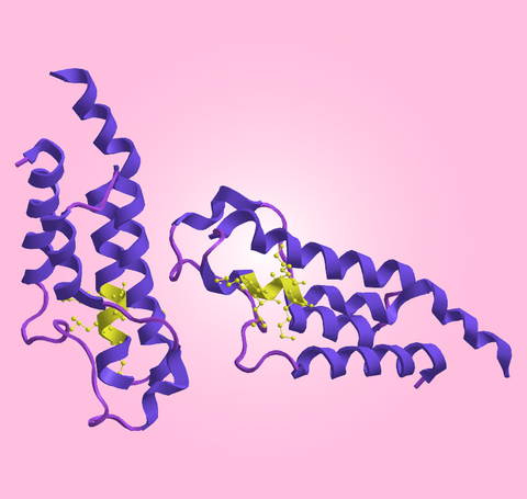 Folding of myristoyl pentapeptide-17