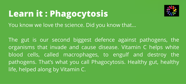 High Strength Vitamin C and Phagocytosis 
