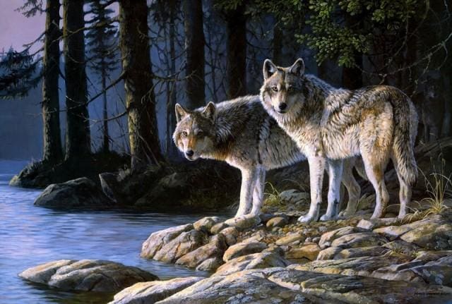 Pintura por números - Lobos Intimidantes – Figured'Art