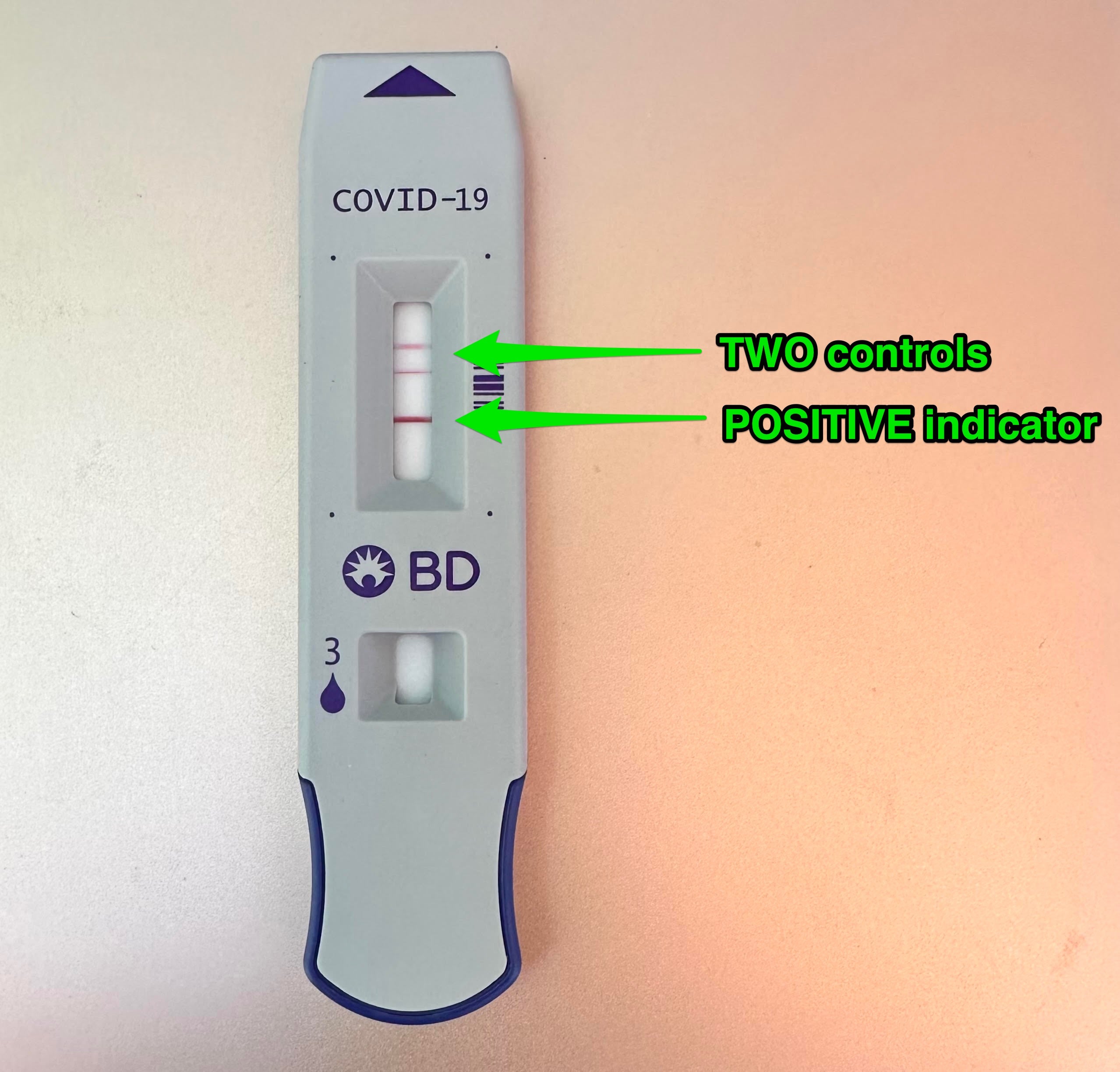 bd veritor covid test positive result requires the lower line to be seen in order too be positive