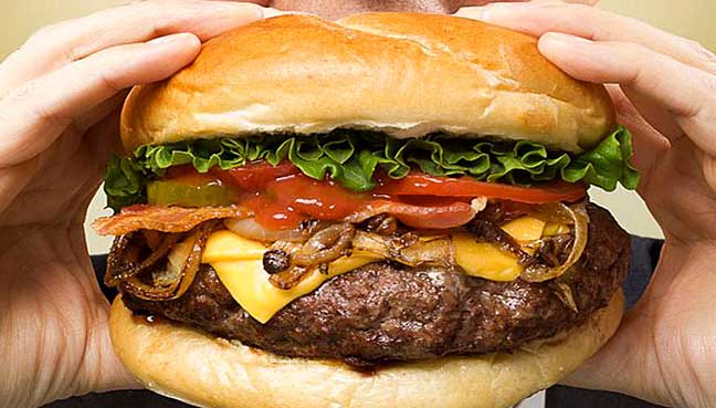 hamburger high fat diet