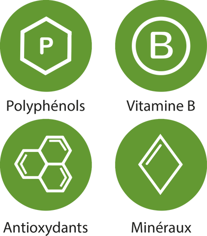 Vertus gamme Maté Vert bio Yerba Mate