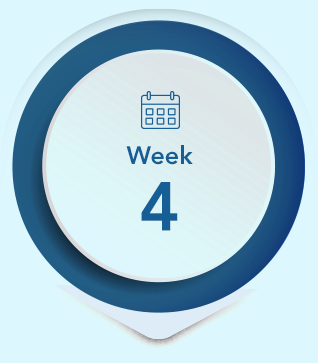 timeline_week4