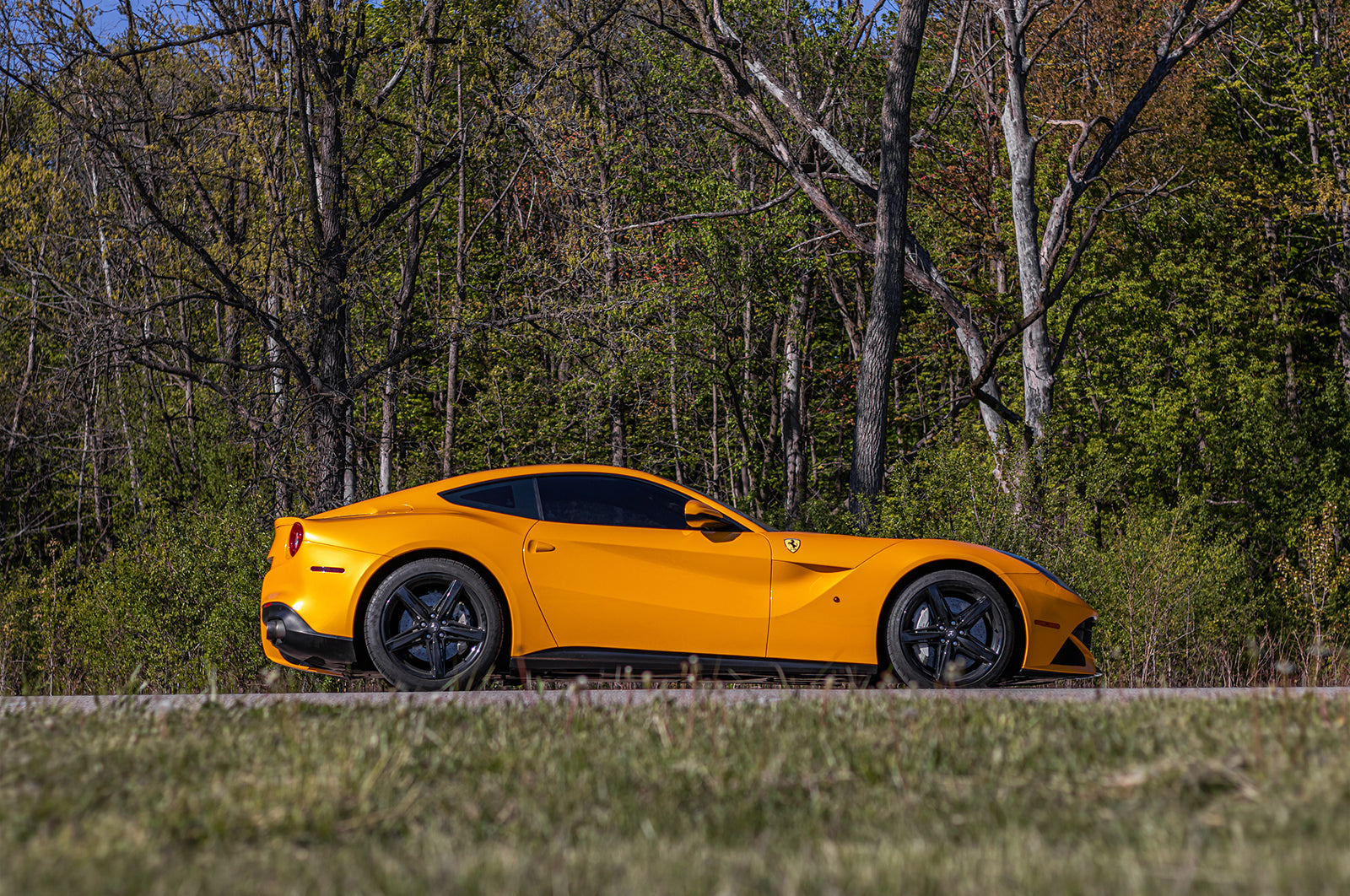 Ferrari F12 - Supergloss Metallic Dandelion Yellow