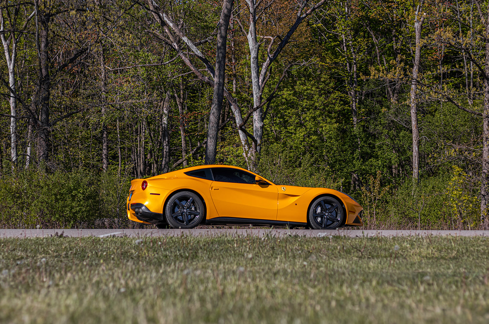 Ferrari F12 - Supergloss Metallic Dandelion Yellow