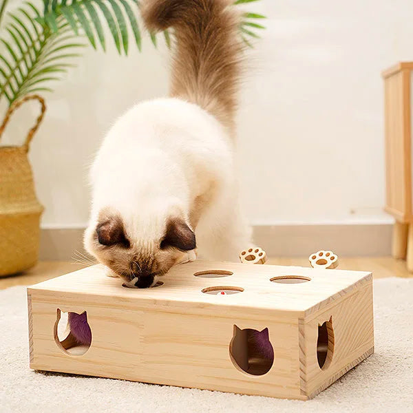 Instinct chasseur chat