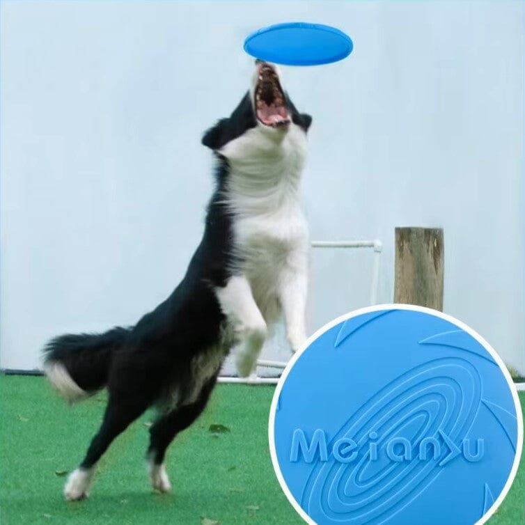 Frisbee robuste pour chien
