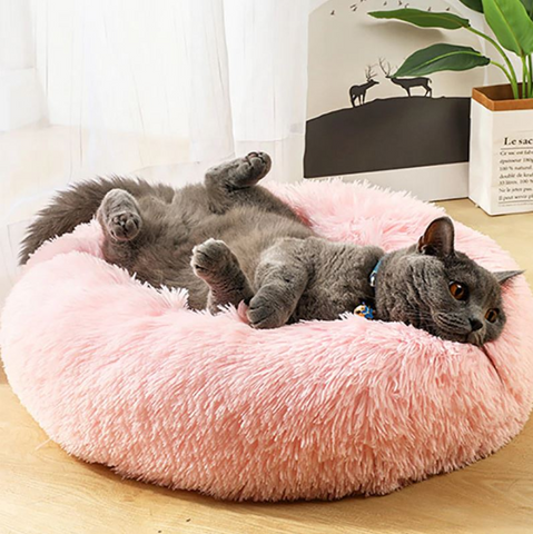 un chat gris allongé sur un coussin pour chat rose