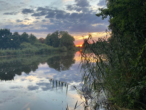 On the way home after a long evening swim in river Aller in August 2020. Photo: F. Lüdtke