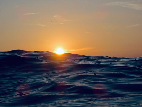 Horizon on the sea with the sun setting