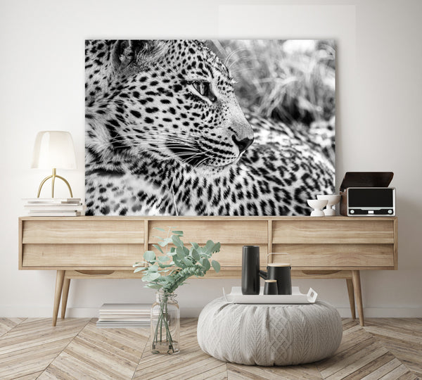 African Soul Stretched Canvas