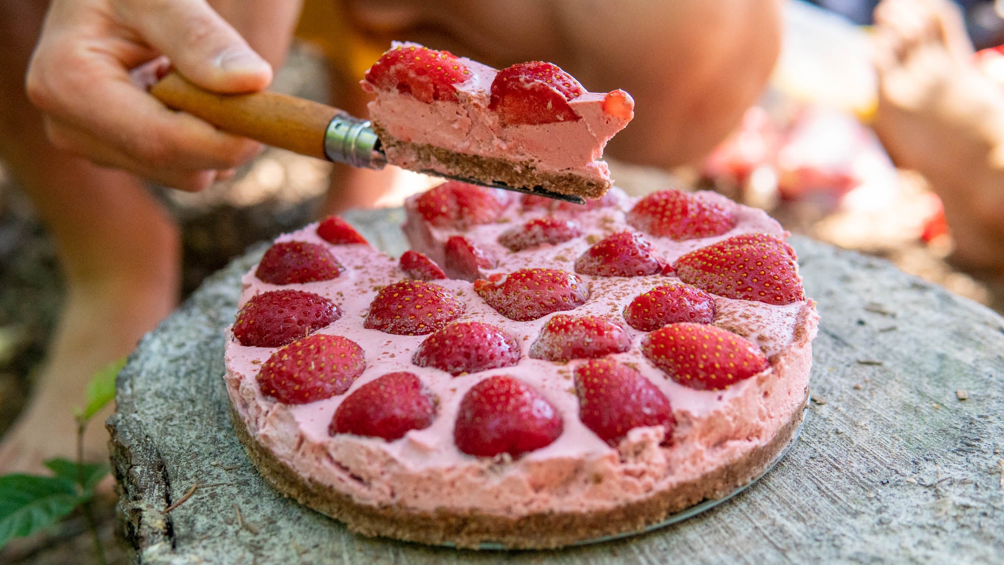 Veganer Erdbeerkuchen ohne Backen