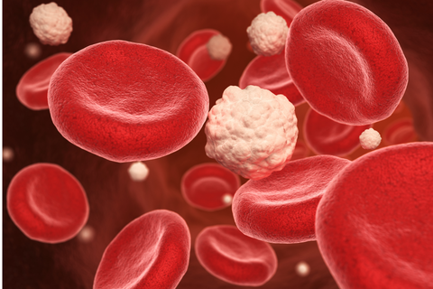 Weiße und rote Blutkörperchen