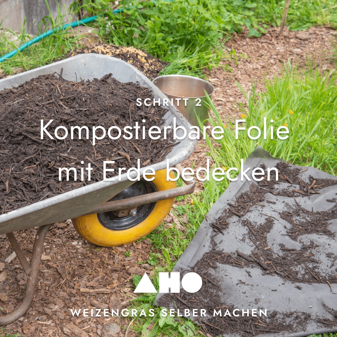 AHO Kompostierbare Folie Weizenkeimlinge