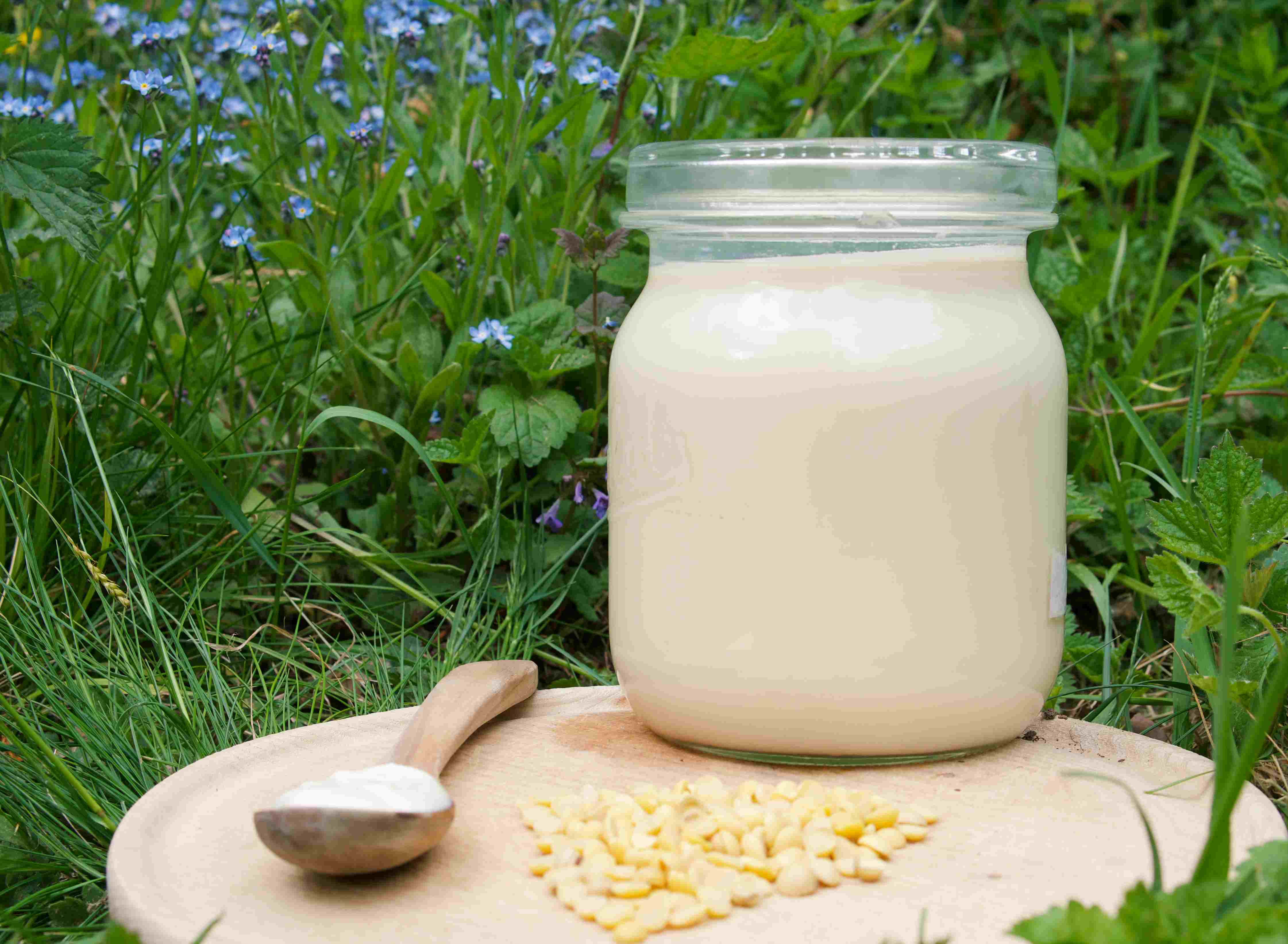 soja joghurt selber machen vegan rezept aho nachhaltig einmachglas diy nachhaltig zero waste