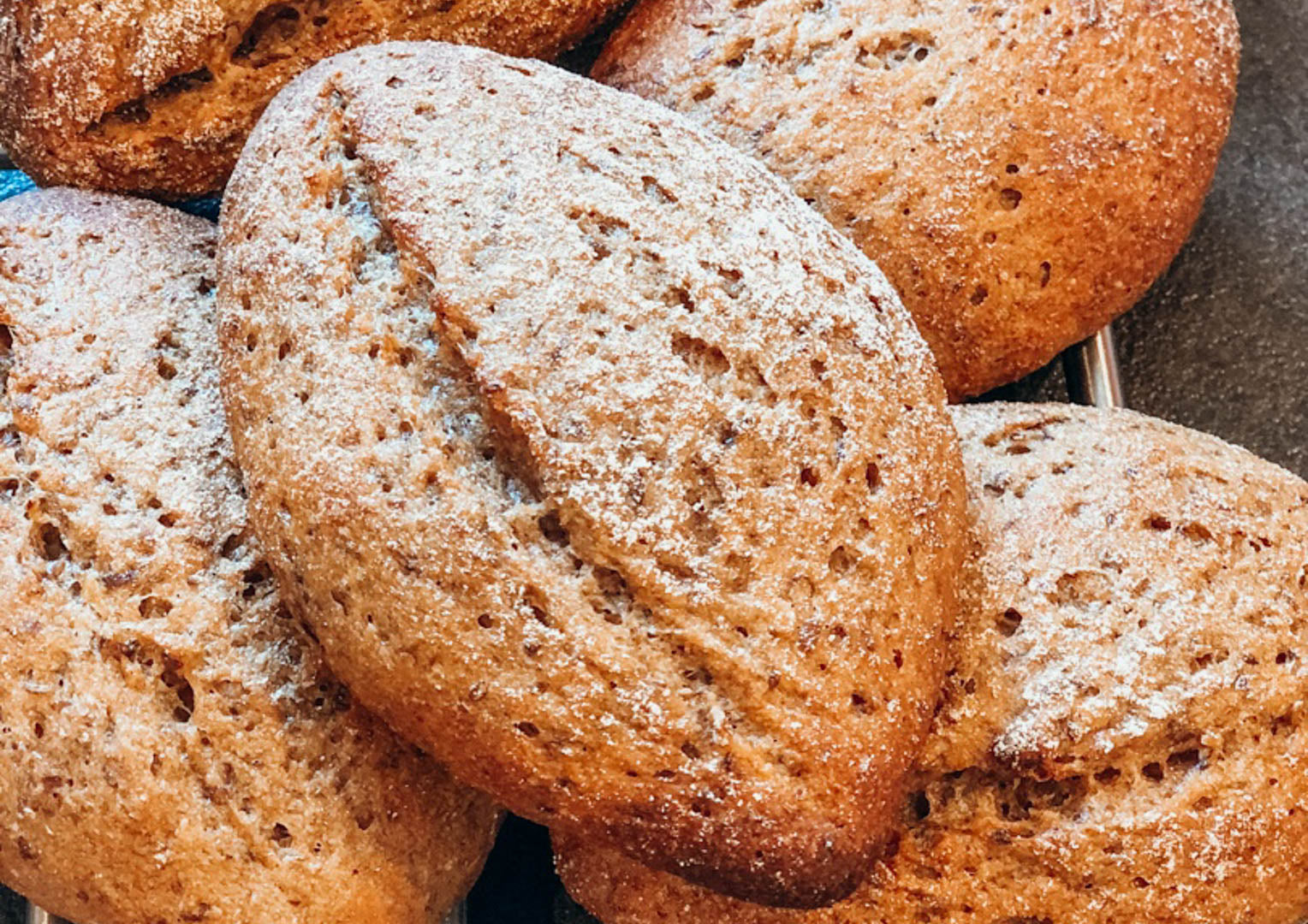 Vollkorn Dinkel Brötchen aus Sprossen Mehl