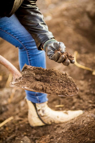 Pashon Murray in the dirt.